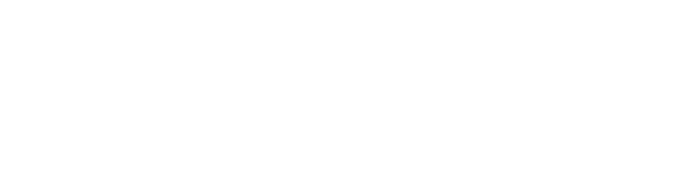 Vital Academy